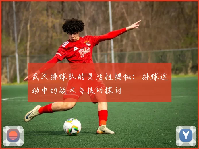 武汉排球队的灵活性揭秘：排球运动中的战术与技巧探讨