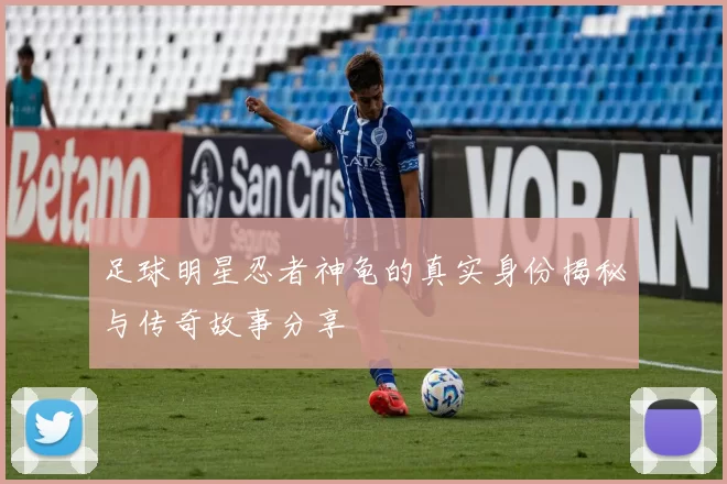 足球明星忍者神龟的真实身份揭秘与传奇故事分享