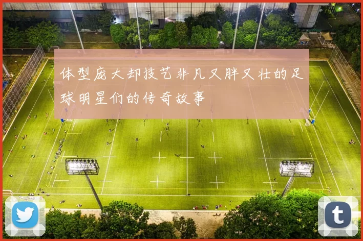 体型庞大却技艺非凡又胖又壮的足球明星们的传奇故事