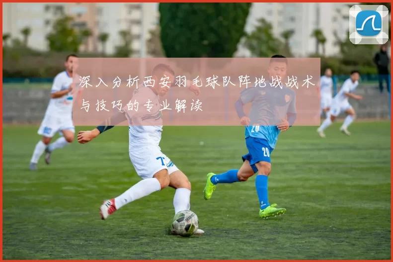 深入分析西安羽毛球队阵地战战术与技巧的专业解读