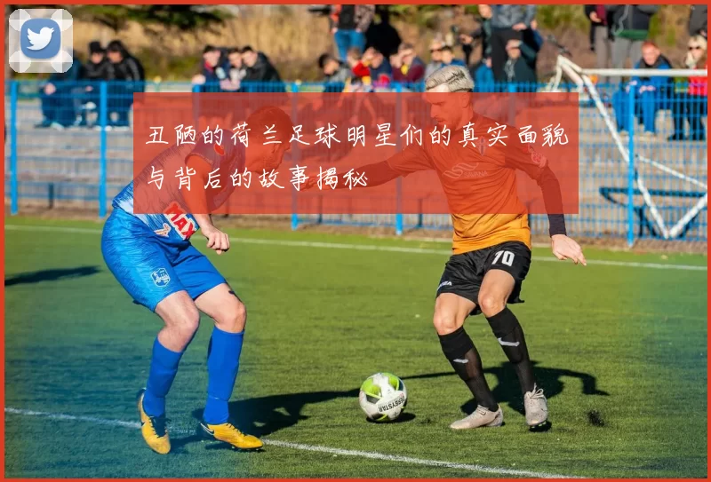丑陋的荷兰足球明星们的真实面貌与背后的故事揭秘