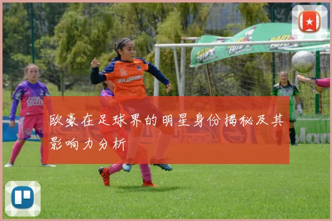欧豪在足球界的明星身份揭秘及其影响力分析