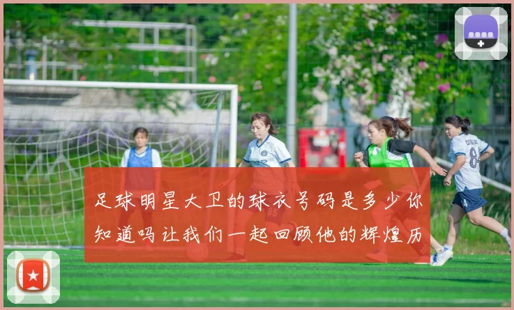 足球明星大卫的球衣号码是多少你知道吗让我们一起回顾他的辉煌历程