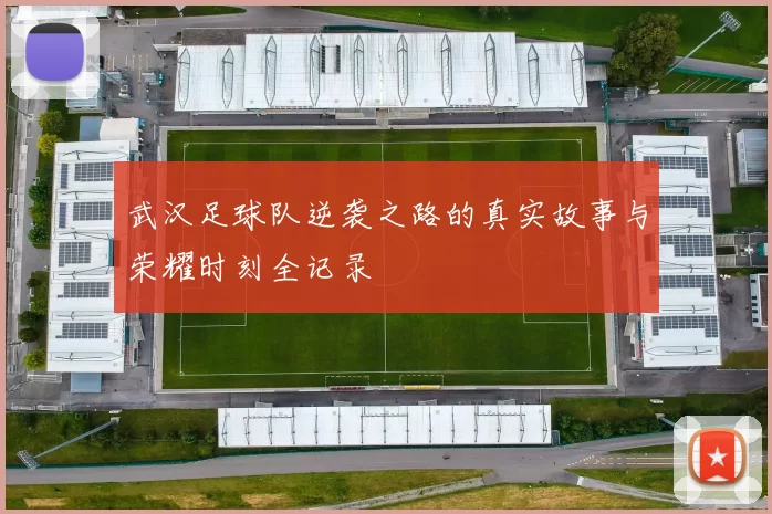 武汉足球队逆袭之路的真实故事与荣耀时刻全记录