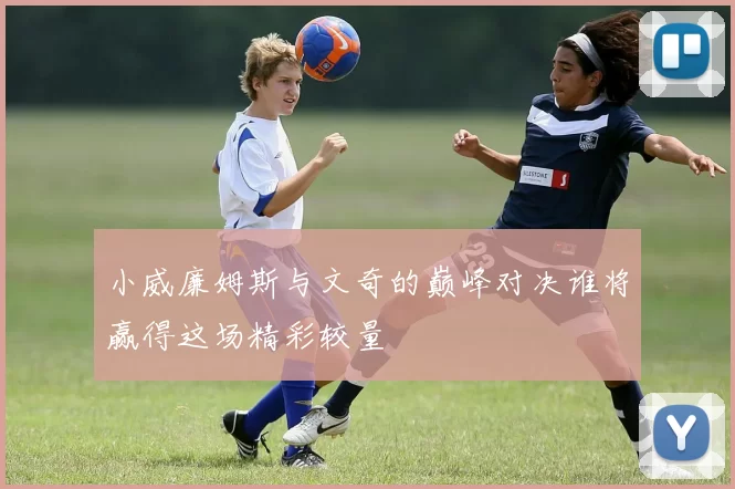 小威廉姆斯与文奇的巅峰对决谁将赢得这场精彩较量