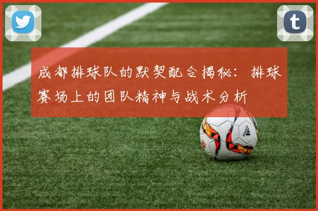 成都排球队的默契配合揭秘：排球赛场上的团队精神与战术分析