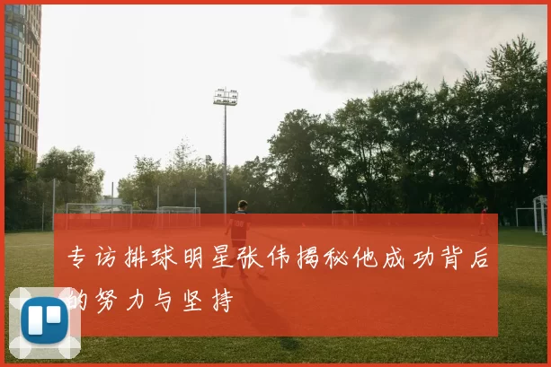 专访排球明星张伟揭秘他成功背后的努力与坚持