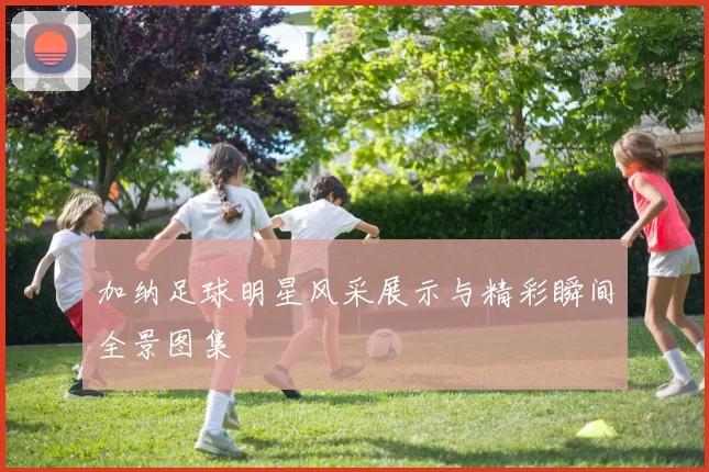 加纳足球明星风采展示与精彩瞬间全景图集