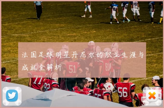 法国足球明星丹尼尔的职业生涯与成就全解析