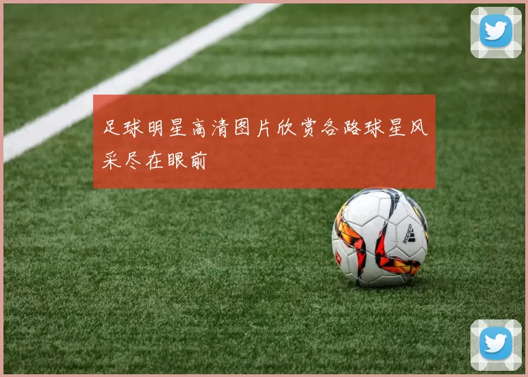 足球明星高清图片欣赏各路球星风采尽在眼前