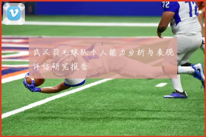 武汉羽毛球队个人能力分析与表现评估研究报告