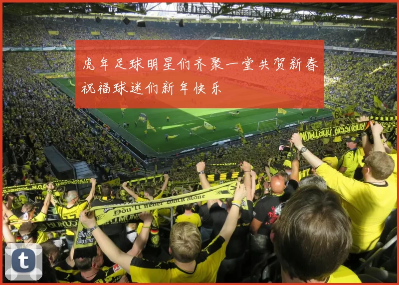 虎年足球明星们齐聚一堂共贺新春祝福球迷们新年快乐