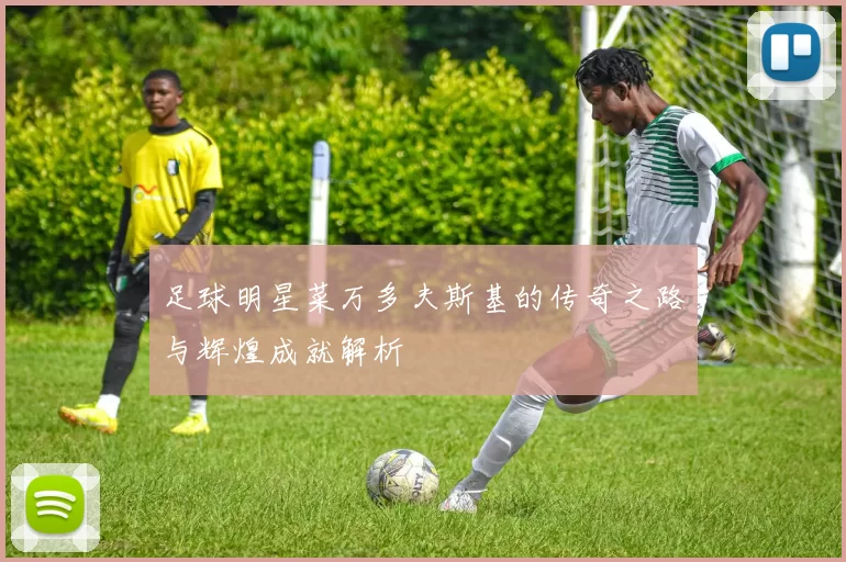 足球明星菜万多夫斯基的传奇之路与辉煌成就解析