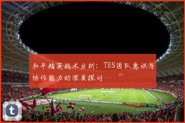 和平精英战术分析：TES团队意识与协作能力的深度探讨
