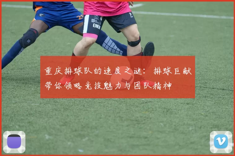 重庆排球队的速度之谜：排球巨献带你领略竞技魅力与团队精神